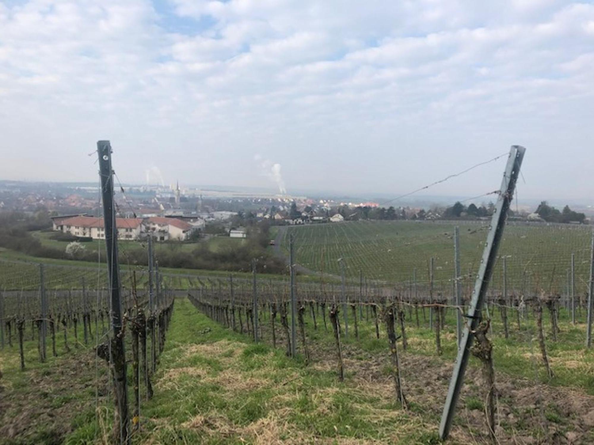 Ferienwohnung Weinberg Markt Einersheim Kültér fotó