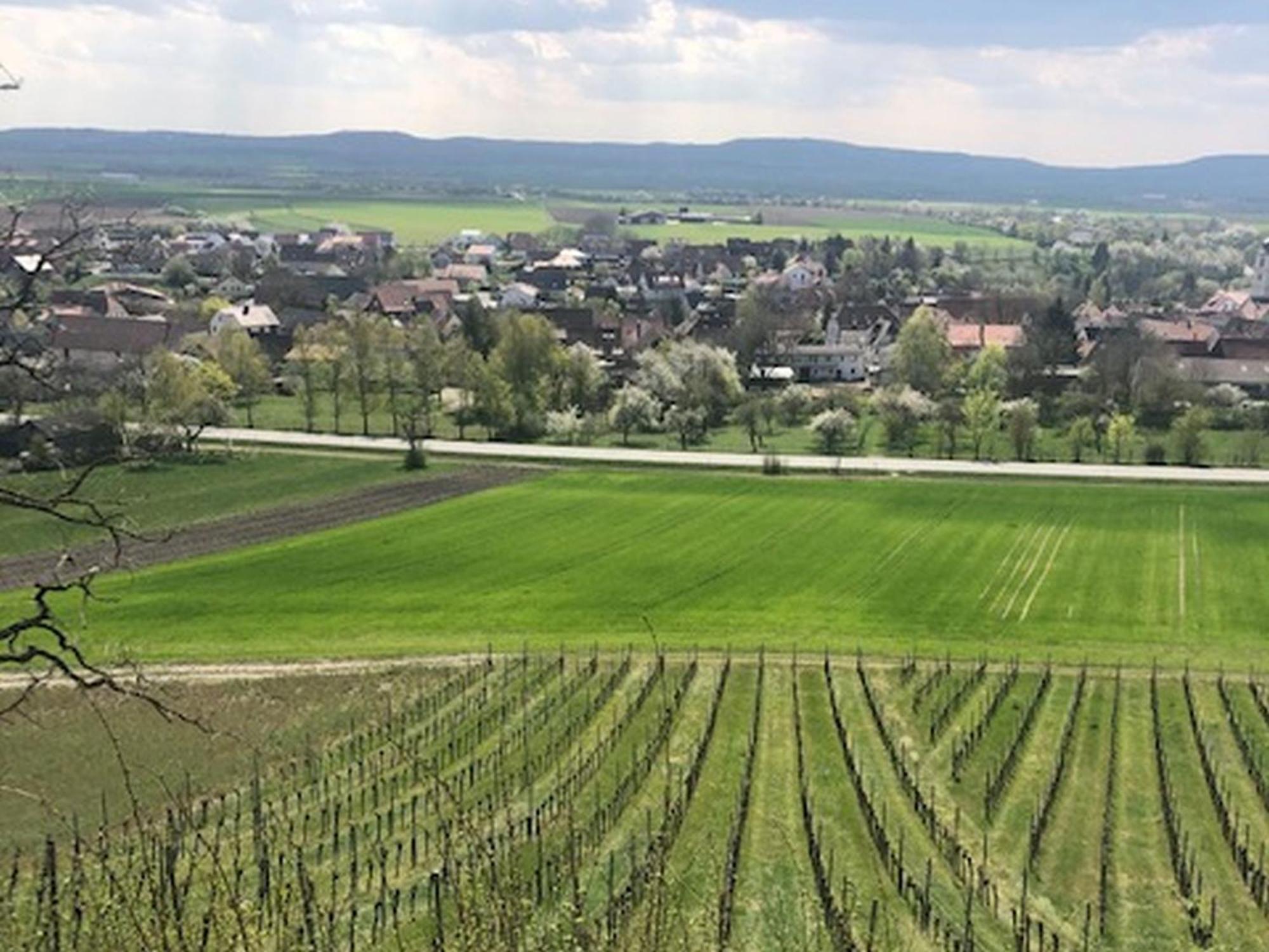 Ferienwohnung Weinberg Markt Einersheim Kültér fotó